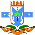 My Website